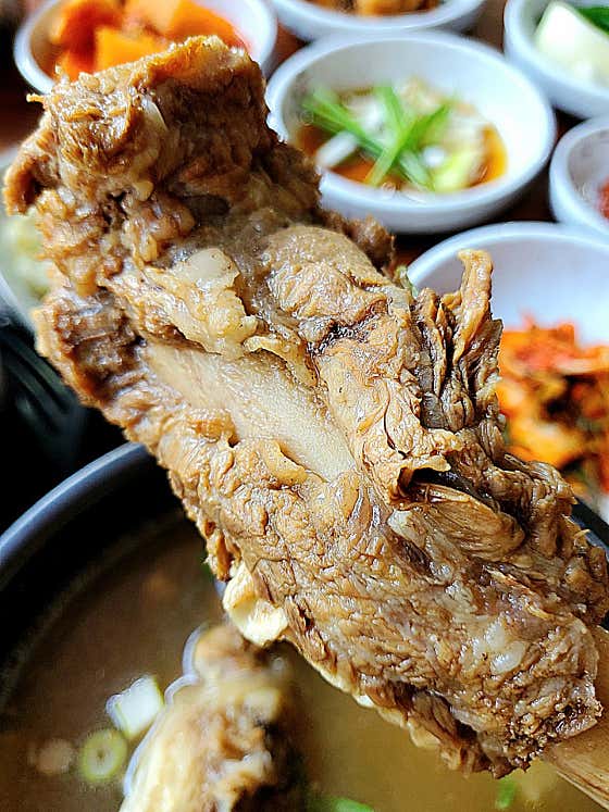 양대감갈비탕 · 네이버 지도·플레이스 6