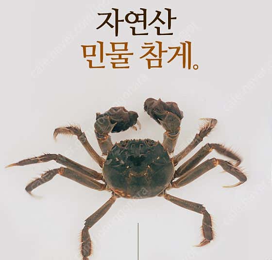 죽여주는 국물 맛 참게 1마리 메뉴 사진(네이버)