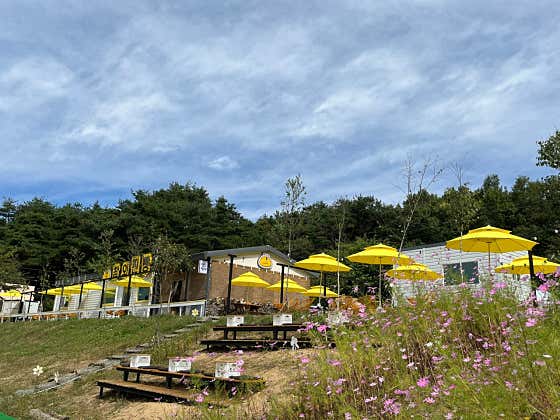 웃음가득찬별동네빵야