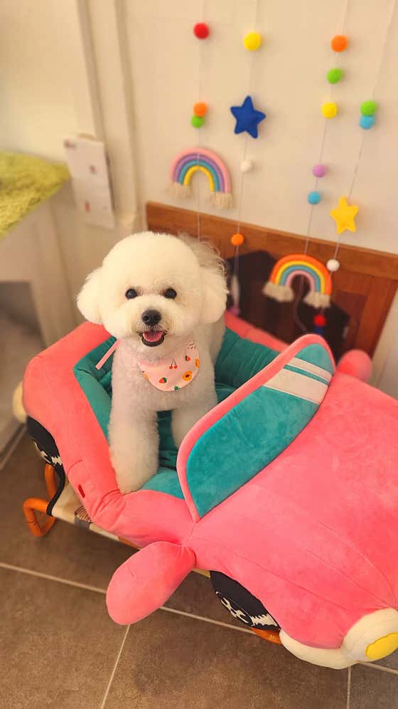 하이조이 · 네이버 지도·플레이스 10