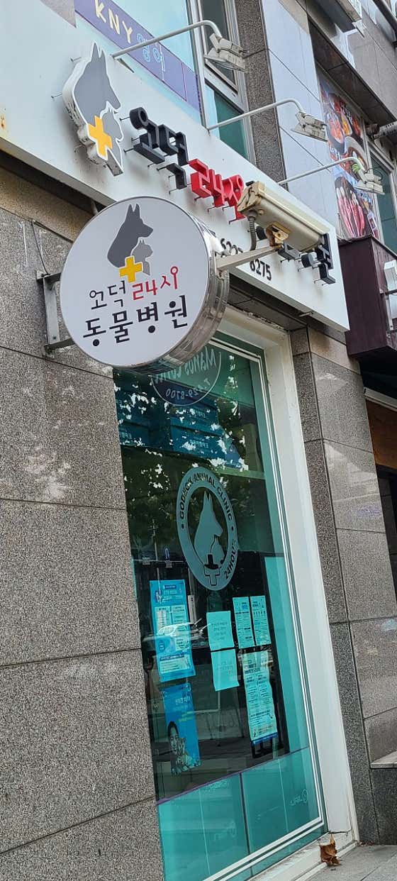 고덕24시 동물병원 · 네이버 지도·플레이스 5