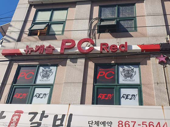 뉴캐슬PC레드