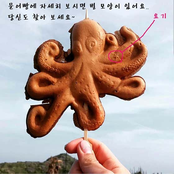 제주문어빵 메뉴 사진(네이버)
