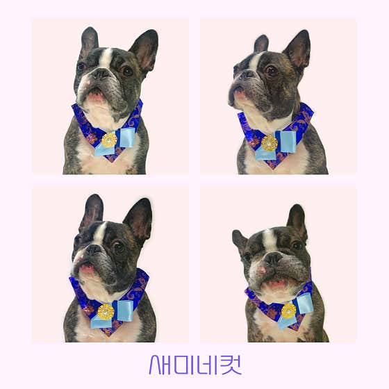 몽슈아 · 네이버 지도·플레이스 4