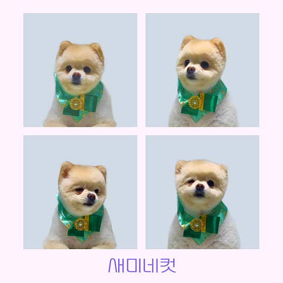 몽슈아 · 네이버 지도·플레이스 9