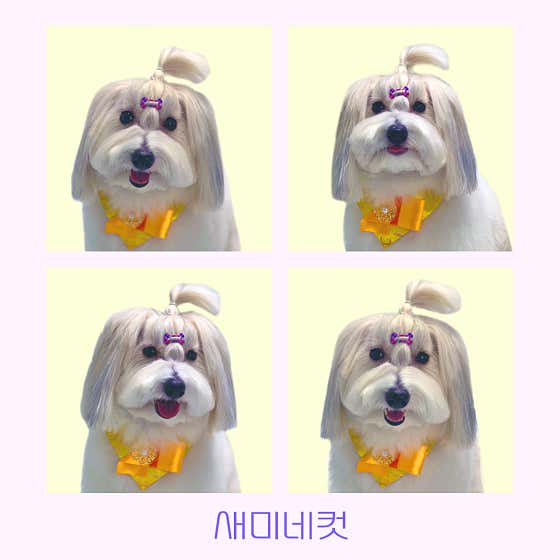 몽슈아 · 네이버 지도·플레이스 8
