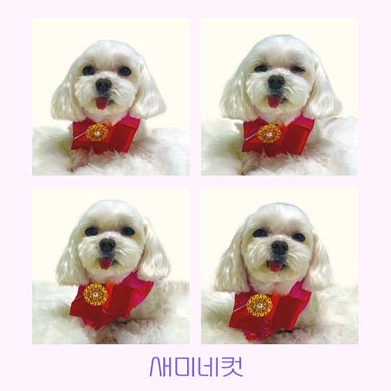 몽슈아 · 네이버 지도·플레이스 7