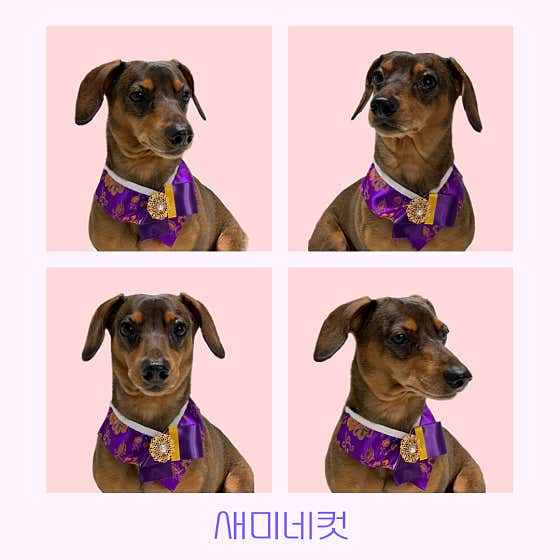 몽슈아 · 네이버 지도·플레이스 6
