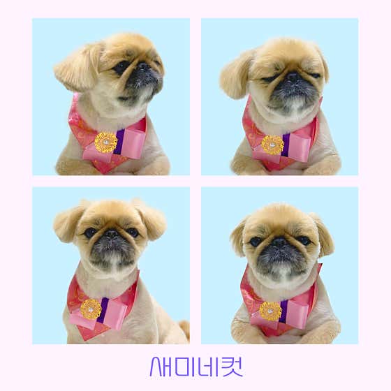 몽슈아 · 네이버 지도·플레이스 3