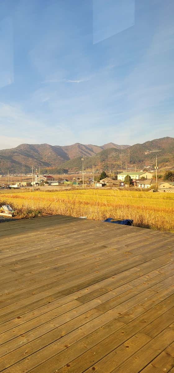 체험카페 밍글스 · 네이버 지도·플레이스 2