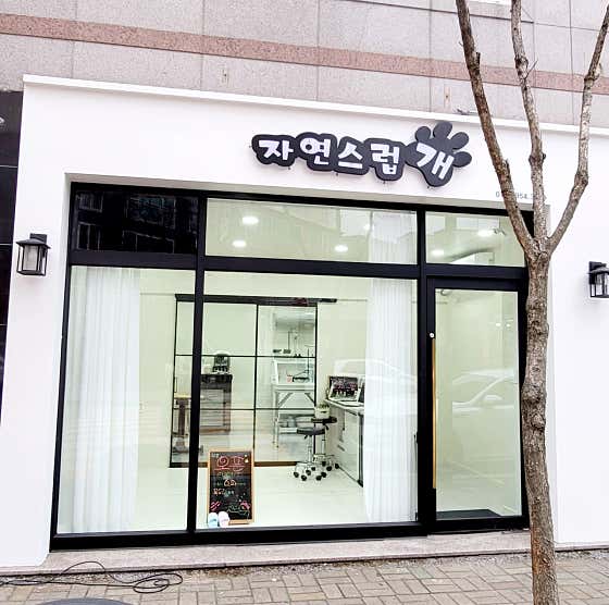 자연스럽개 · 네이버 지도·플레이스 10