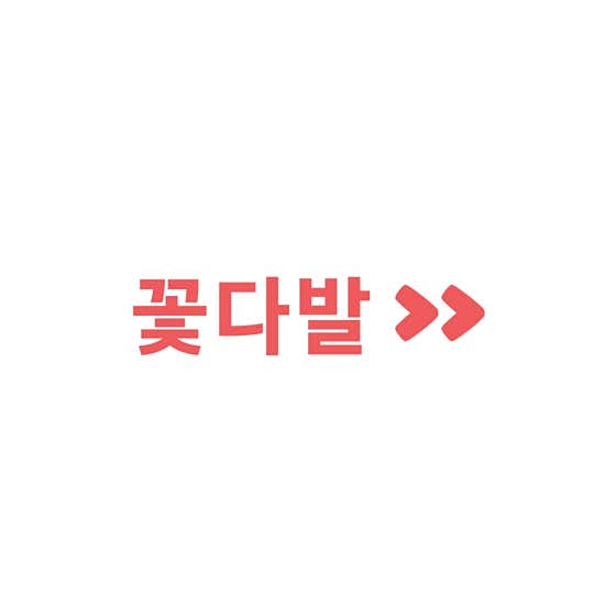 네이버 플레이스 땅트플레르 : 네이버