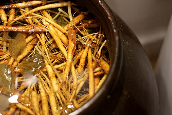 산삼주 메뉴 사진(네이버)