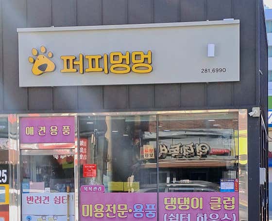 퍼피멍멍 대표이미지
