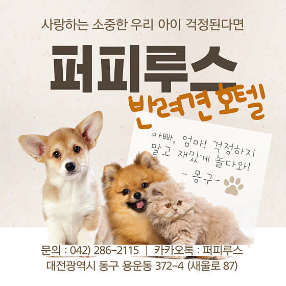 퍼피루스 · 네이버 지도·플레이스 2
