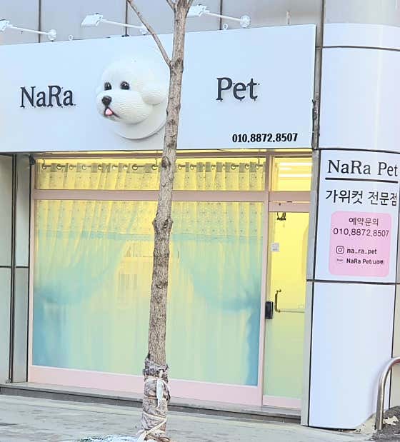 NaRa Pet