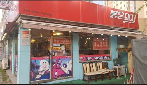 붉은돼지