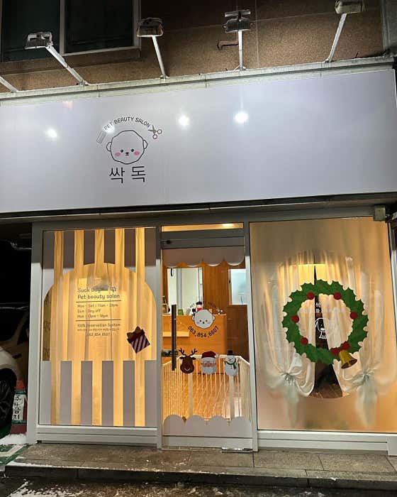 싹독 대표이미지