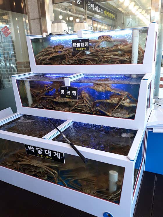 박달대게 메뉴 사진(네이버)