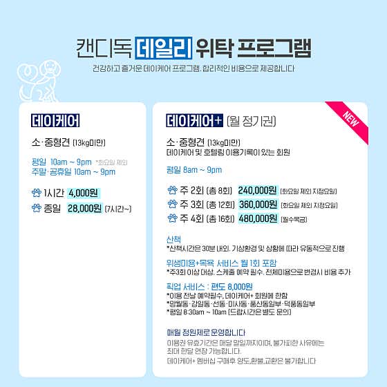 캔디독 · 네이버 지도·플레이스 3