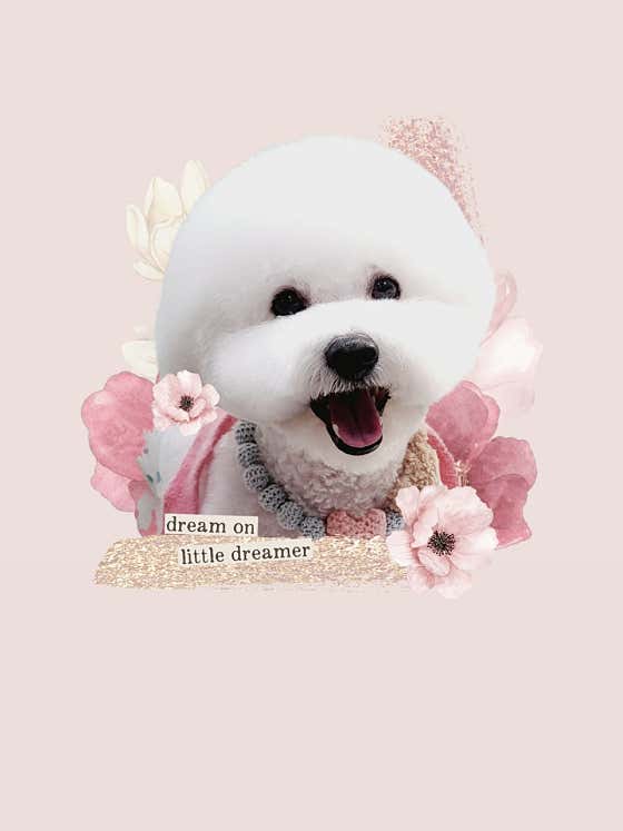 꽃피우개 · 네이버 지도·플레이스 3
