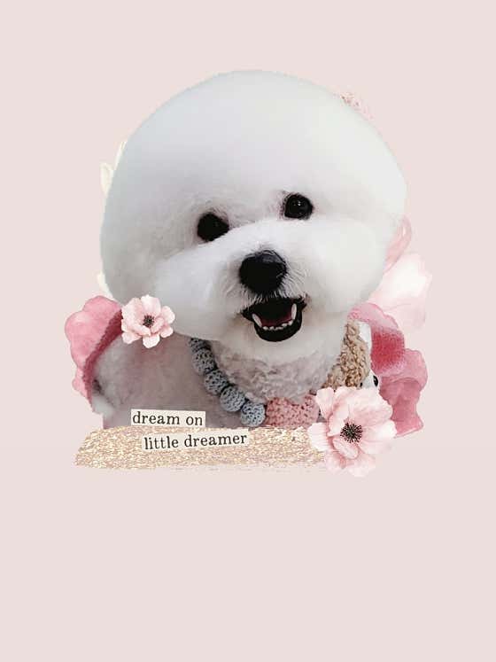 꽃피우개 · 네이버 지도·플레이스 2