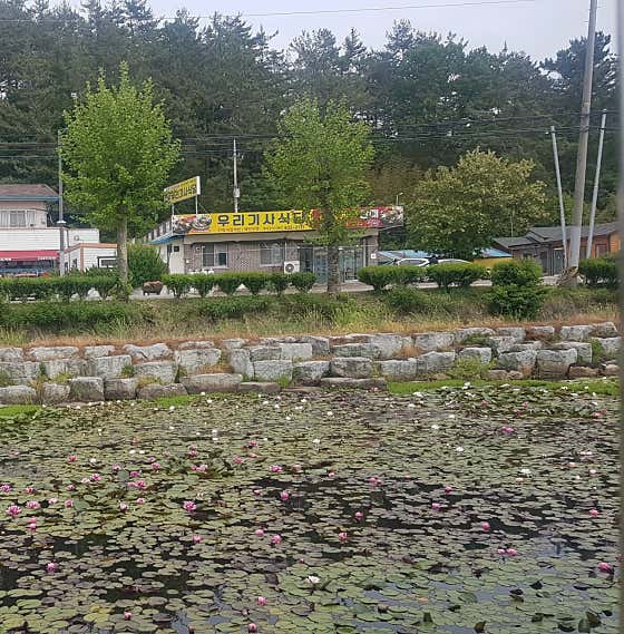 우리기사식당