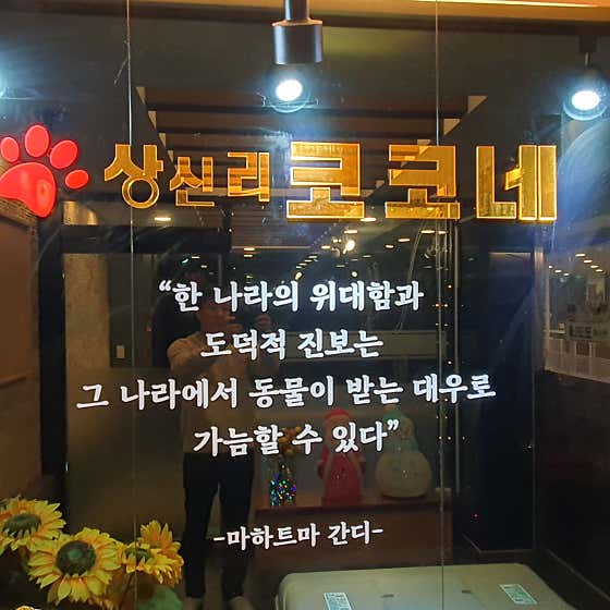 상신리코코네 · 네이버 지도·플레이스 5