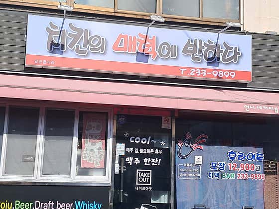 치킨의 매력에 반하다