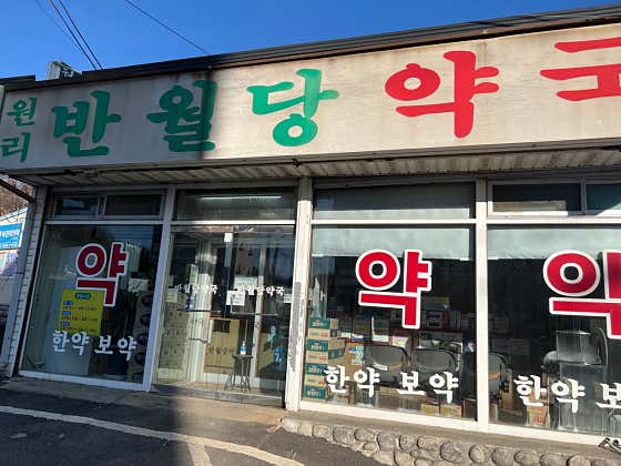 원리반월당약국