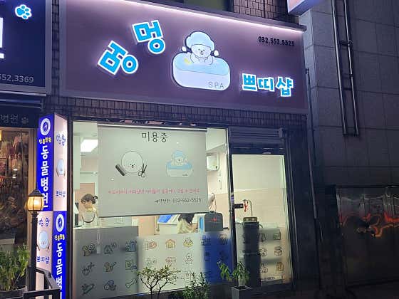 멍멍쁘띠샵