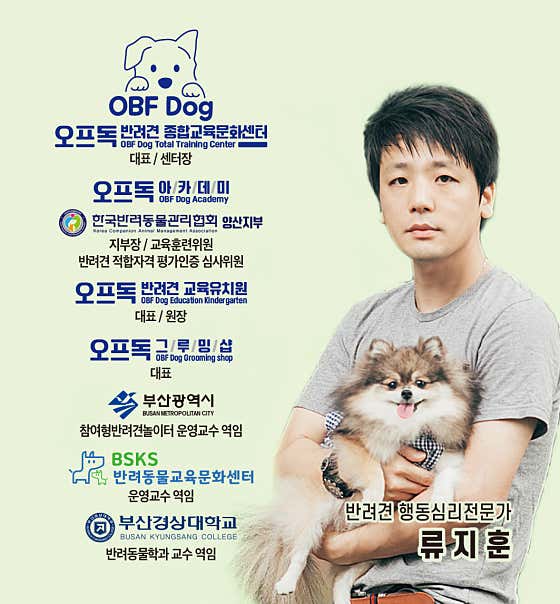 오프독 반려견 종합교육문화센터 · 네이버 지도·플레이스 4