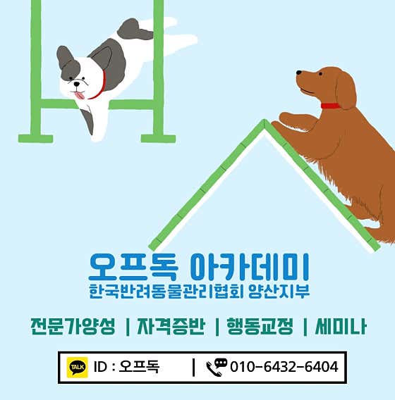 오프독 반려견 종합교육문화센터 · 네이버 지도·플레이스 3
