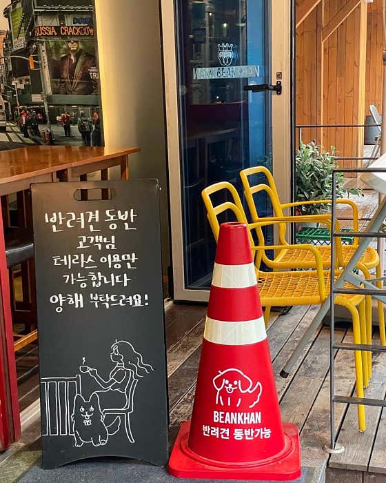 빈칸 본점 · 네이버 지도·플레이스 3