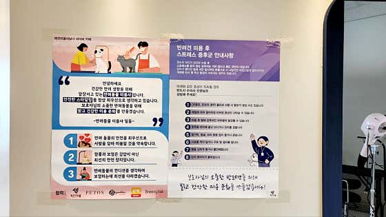 포커스온펫 · 네이버 지도·플레이스 3