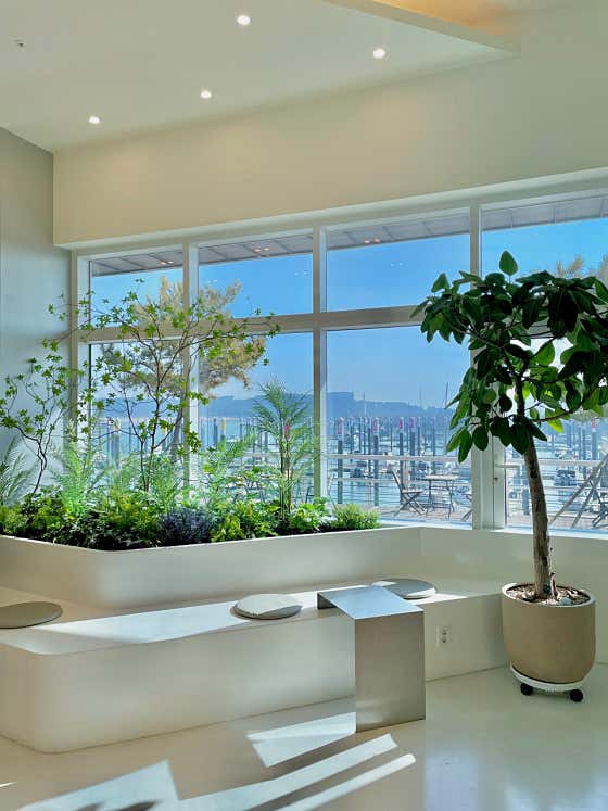 키카페 Quay Cafe · 네이버 지도·플레이스 10
