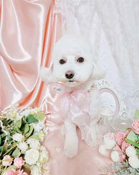 쉼아로마 (완정역) 매장 사진 2