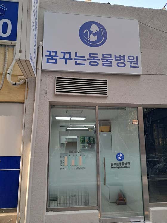 꿈꾸는동물병원 대표이미지