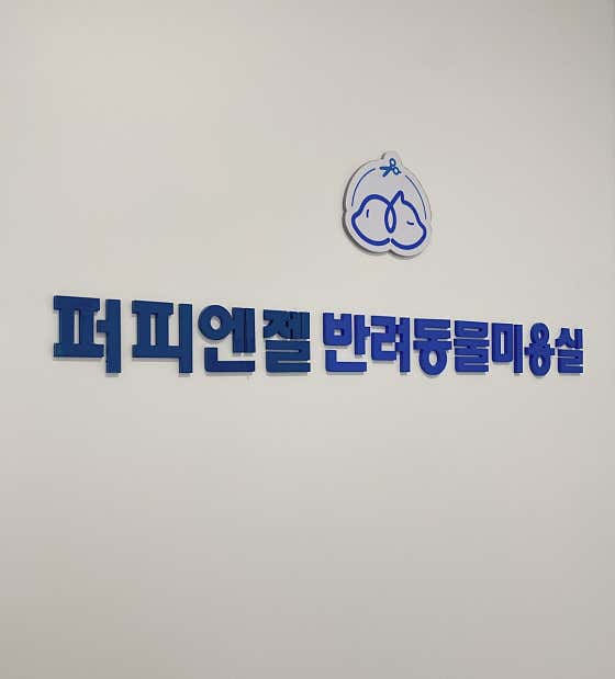 퍼피엔젤 반려동물 미용실 · 네이버 지도·플레이스 6