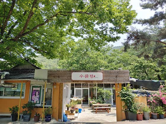 수풀정