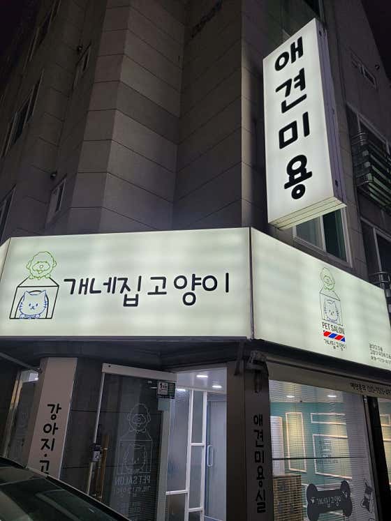 개네집 고양이 · 네이버 지도·플레이스 9