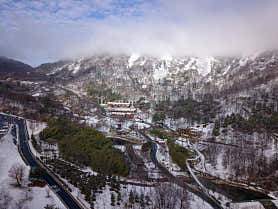월아산 자연휴양림 사진