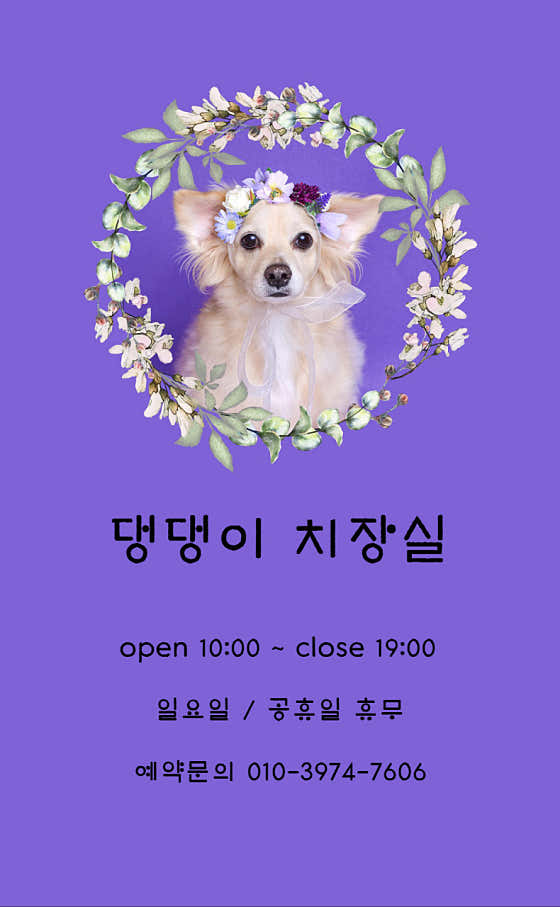 댕댕이 치장실 대표이미지