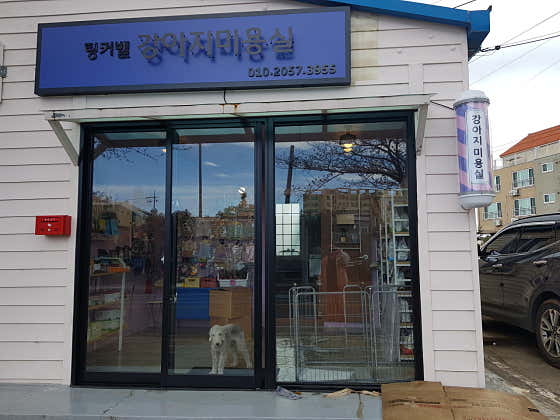 팅커벨강아지미용실 대표이미지