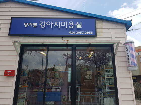팅커벨강아지미용실 · 네이버 지도·플레이스 3