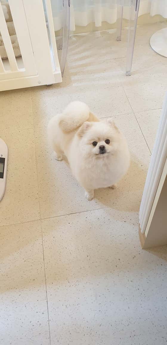 레몽 · 네이버 지도·플레이스 6