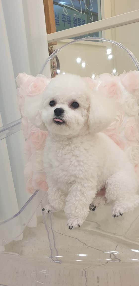 레몽 · 네이버 지도·플레이스 9