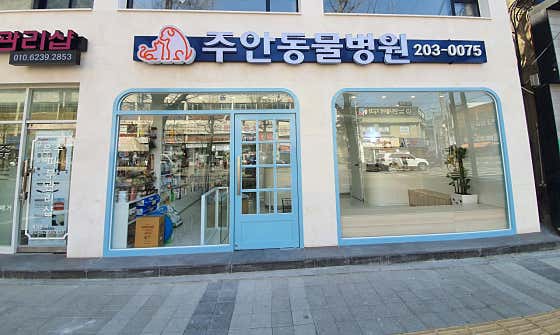 주안동물병원