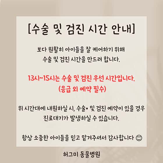 허그미동물병원 · 네이버 지도·플레이스 5
