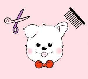 아름답개 대표이미지